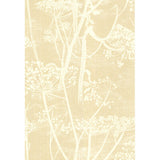 COLE & SON 66/7049.CS.0 COW PARSLEY WHITE/BGE Wallpaper - Eade's Wallpaper