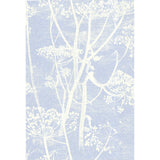 COLE & SON 66/7050.CS.0 COW PARSLEY WHITE/BLU Wallpaper - Eade's Wallpaper