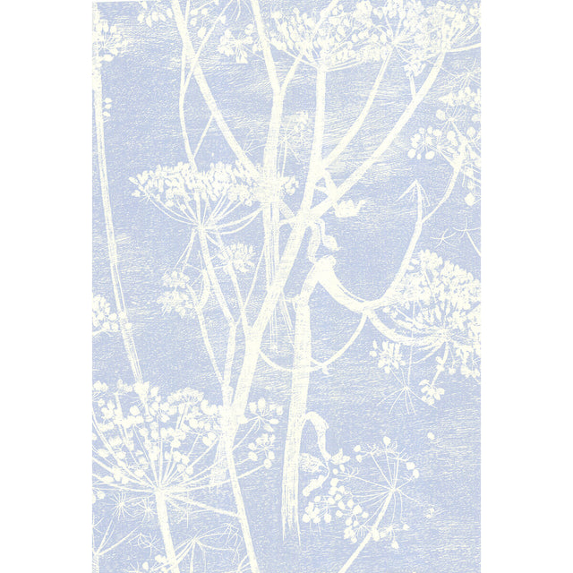 COLE & SON 66/7050.CS.0 COW PARSLEY WHITE/BLU Wallpaper - Eade's Wallpaper