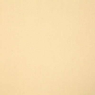 Pindler CLIFTON SOLEIL 6751 Fabric - Fabric Collection