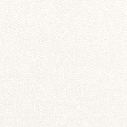 Schumacher 67660 ROSSINI SHEER in IVORY Fabric - ESSENTIALS: