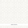 Schumacher 67720 IMPERIAL TRELLIS SHEER in MERINGUE Fabric -