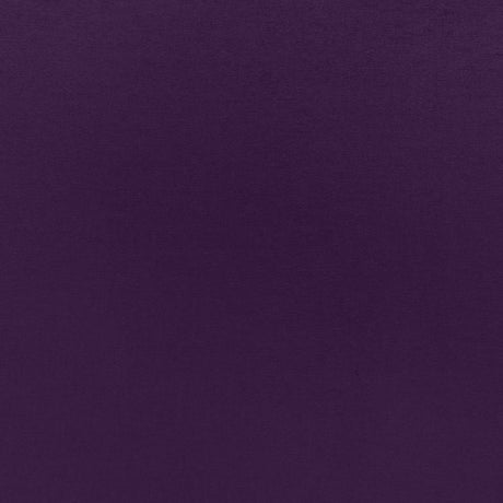 Eade’s AFRICAN VIOLET