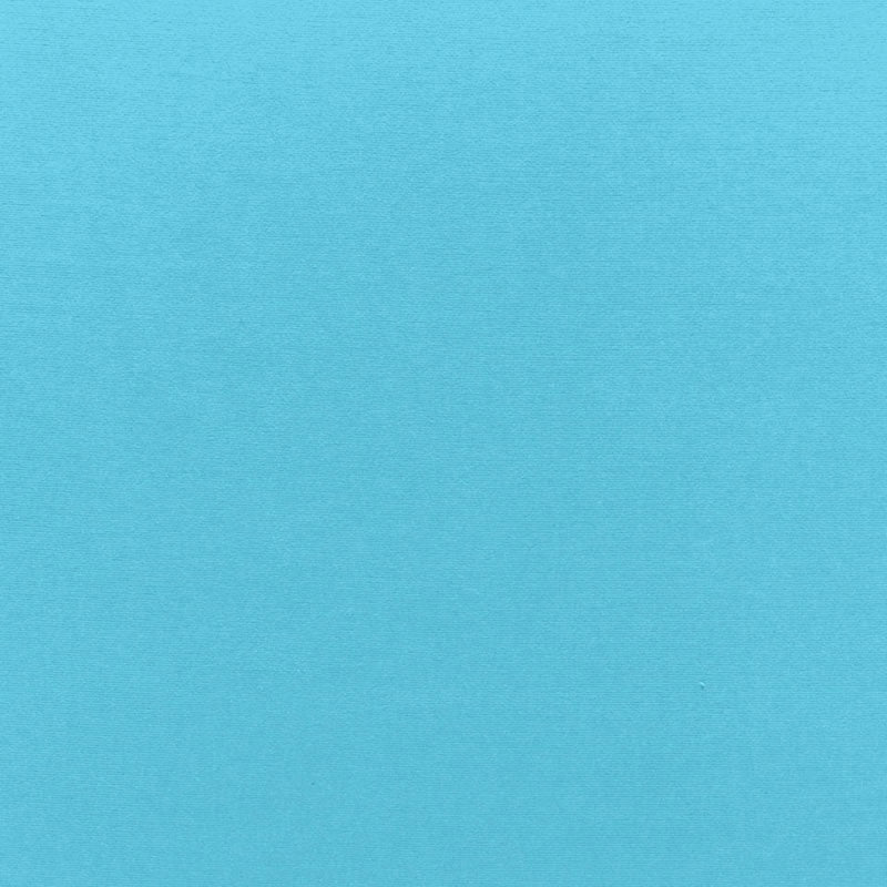 Schumacher Sophia Velvet Capri Fabric - Eade's Wallpaper