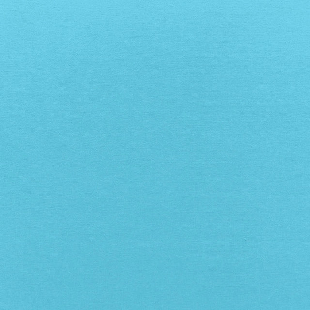 Schumacher Sophia Velvet Capri Fabric - Eade's Wallpaper