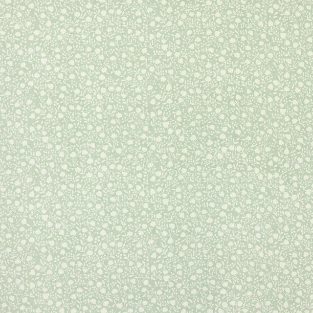 Schumacher 681V67 ELLIE in ROBIN'S EGG Fabric - RAOUL TEXTIL