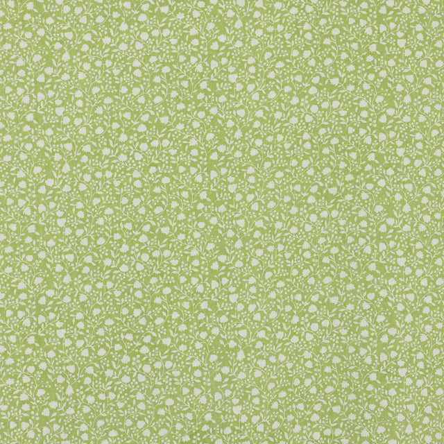 Schumacher 681V74 ELLIE in CELERY Fabric - RAOUL TEXTILES