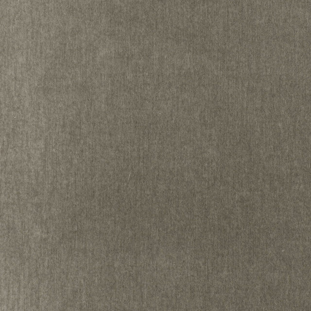 Schumacher Whistler Velvet Fog Fabric - Eade's Wallpaper