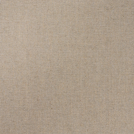 Schumacher 68661 CORSICA WEAVE in ZINC Fabric - CHROMA