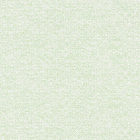 Schumacher 69026 SARONG WEAVE INDOOR/OUTDOOR in LEAF Fabric 