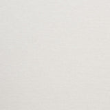Schumacher Beaufort Chenille Limestone Fabric