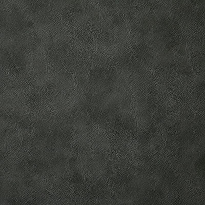 Pindler BANDWAGON PEWTER 6918 Fabric - Fabric Collection