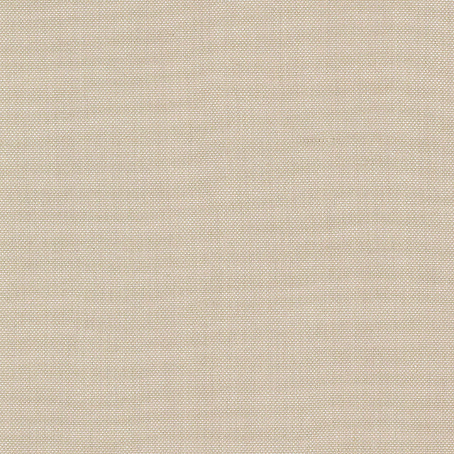 Schumacher 69372 BARNETT in LIMESTONE Fabric - PERFECT BASIC