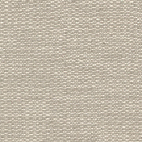 Schumacher 69375 BARNETT in TRUFFLE Fabric - PERFECT BASICS: