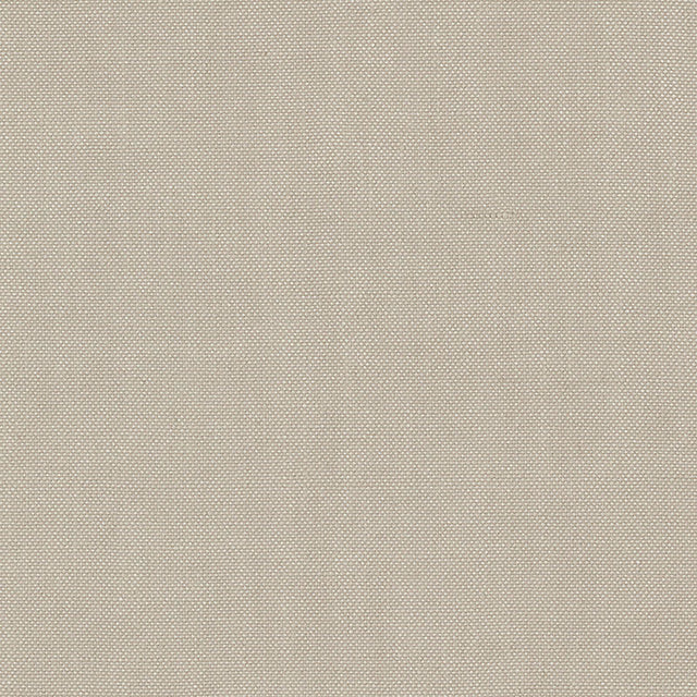 Schumacher 69375 BARNETT in TRUFFLE Fabric - PERFECT BASICS: