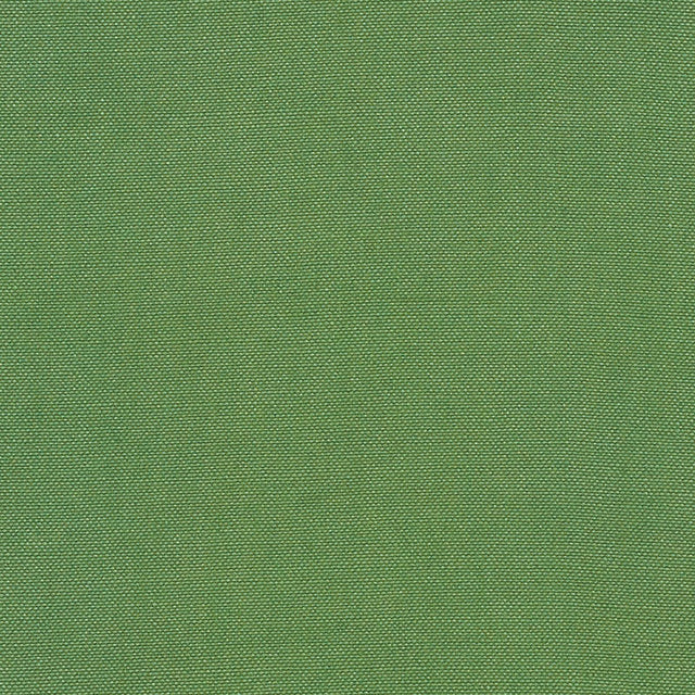 Schumacher 69394 BARNETT in GRASS Fabric - PERFECT BASICS: U