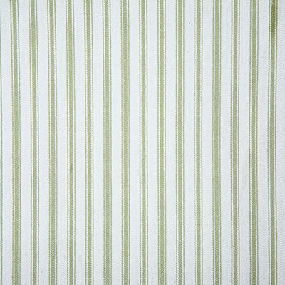 Pindler TRUDIE FERN 6953 Fabric - Fabric Collection