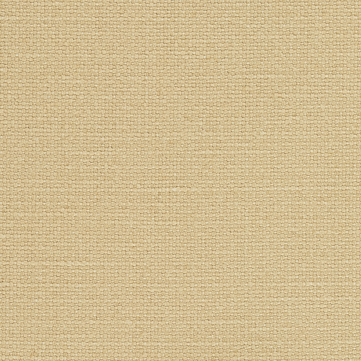 Schumacher 69616 LANGHAM HIGH PERFORMANCE UNION in CAMEL Fab