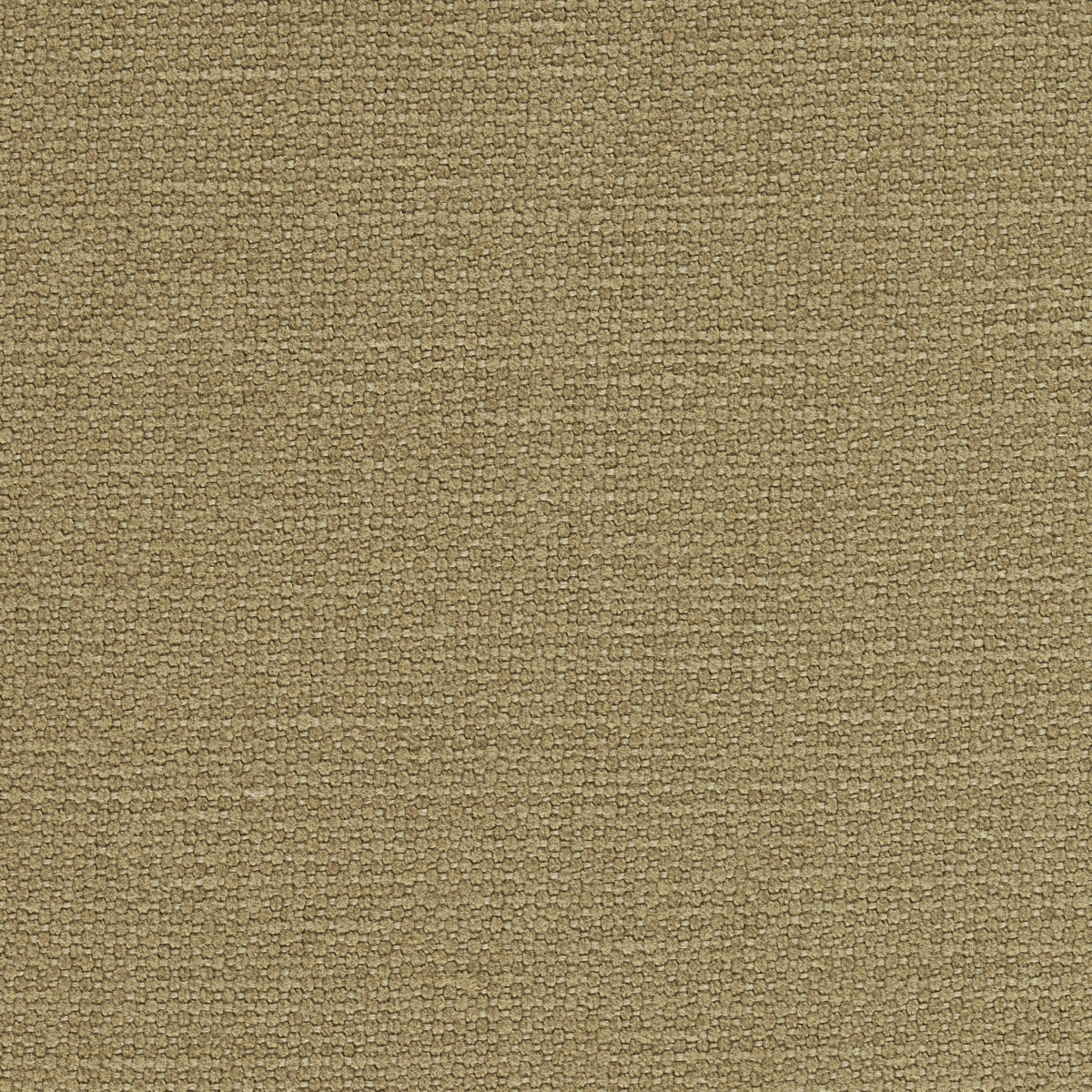 Schumacher 69618 LANGHAM HIGH PERFORMANCE UNION in BARLEY Fa
