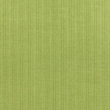 Schumacher Antique Strie Velvet Lime Fabric