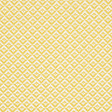 Schumacher Jamison Soleil Fabric