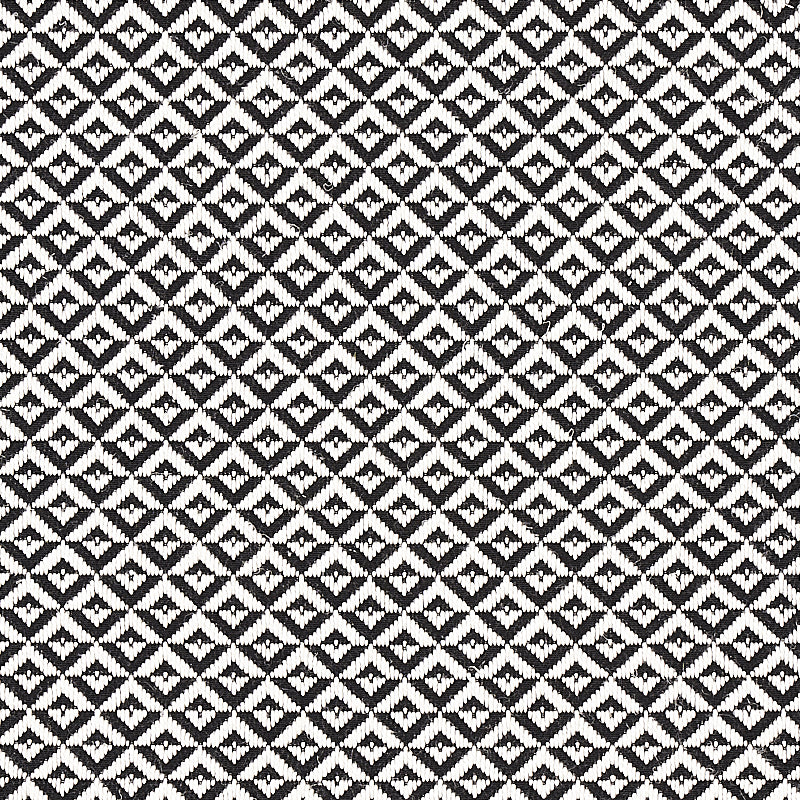 Schumacher Jamison Black Fabric