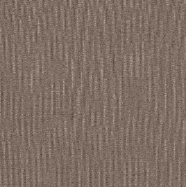 Eade’s CHANTERELLE