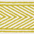Schumacher 69964 NICHOLSON TAPE in CITRINE Trim - CLIQUE