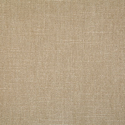 Pindler KENNEDY CHAMPAGNE 7050 Fabric - Fabric Collection
