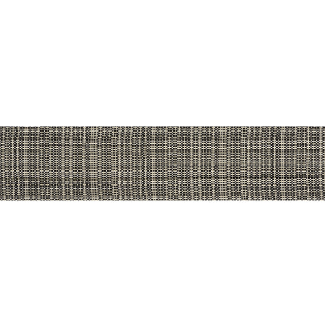 Schumacher 70730 TWEED TAPE MEDIUM in CHARCOAL Trim - COUTUR
