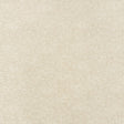Schumacher 70860 Flower Chenille in MOONSTONE Fabric - FLOWE