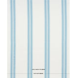 Schumacher Brentwood Stripe Pool Fabric