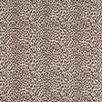 Schumacher 710N28 LEOPARD BY RAOUL in MOLE Fabric - RAOUL TE