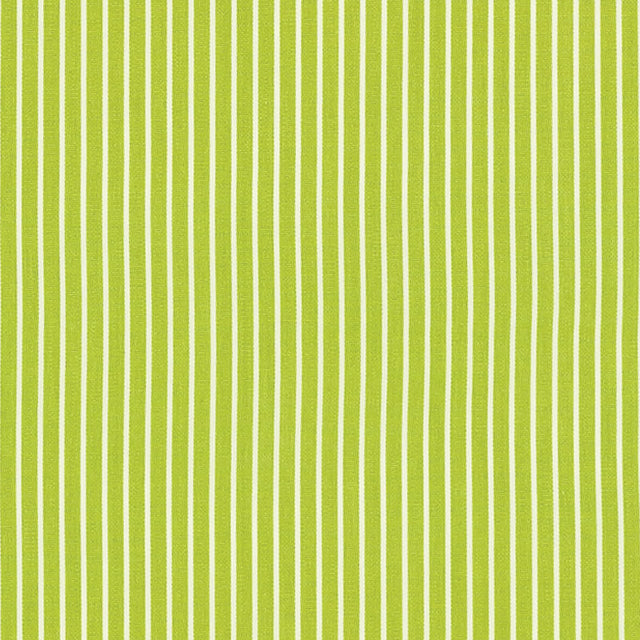 Schumacher 71306 EDIE STRIPE in GREEN Fabric - ESSENTIALS: C