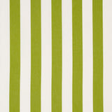 Schumacher 71326 ANDY STRIPE in GREEN Fabric - ESSENTIALS: C