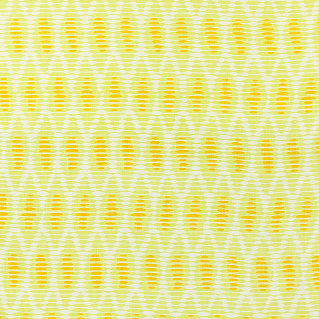 Schumacher 715V20 RITA in SOL Fabric - RAOUL TEXTILES
