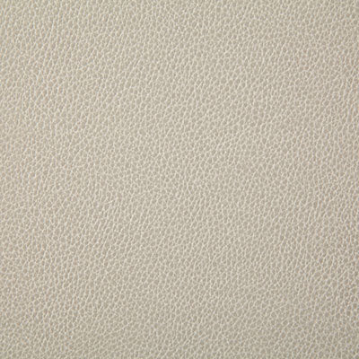 Pindler SANDERS CHALK 7225 Fabric - Fabric Collection