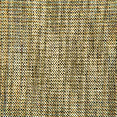 Pindler BECK GILDED 7232 Fabric - Fabric Collection