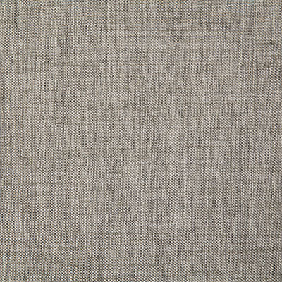 Pindler BECK PEWTER 7232 Fabric - Fabric Collection