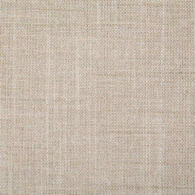 Pindler SINCLAIR SAND 7233 Fabric - Fabric Collection