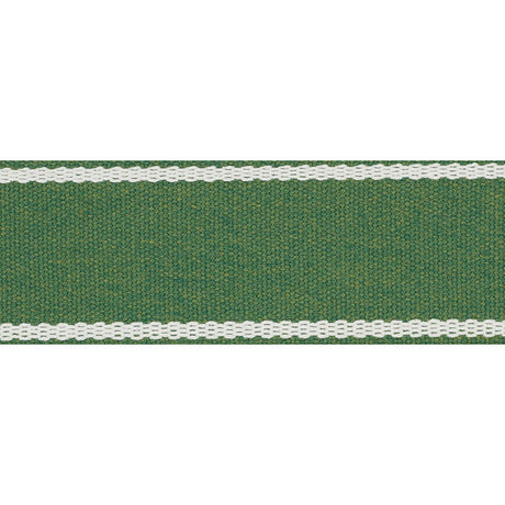 Schumacher 72403 SULLIVAN TAPE INDOOR/OUTDOOR in GREEN Trim 