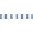 Schumacher 72582 SALTON TAPE in BLUE Trim - OPEN SKY