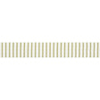 Schumacher 72584 SALTON TAPE in LEAF Trim - OPEN SKY