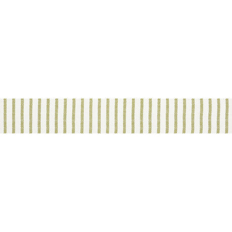 Schumacher 72584 SALTON TAPE in LEAF Trim - OPEN SKY