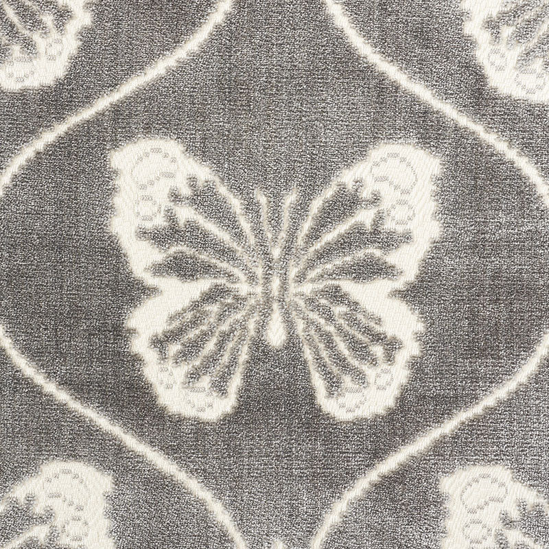 Schumacher Papillon Velvet Pewter Fabric - Eade's Wallpaper