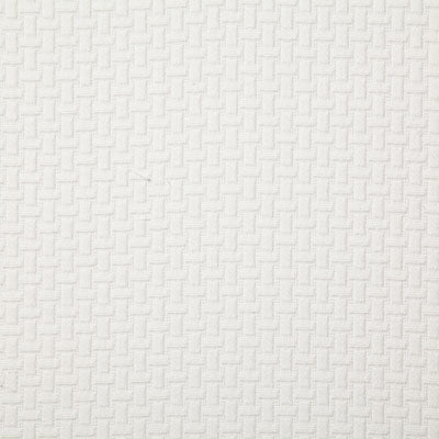Pindler JARETH TUSK 7301 Fabric - Fabric Collection