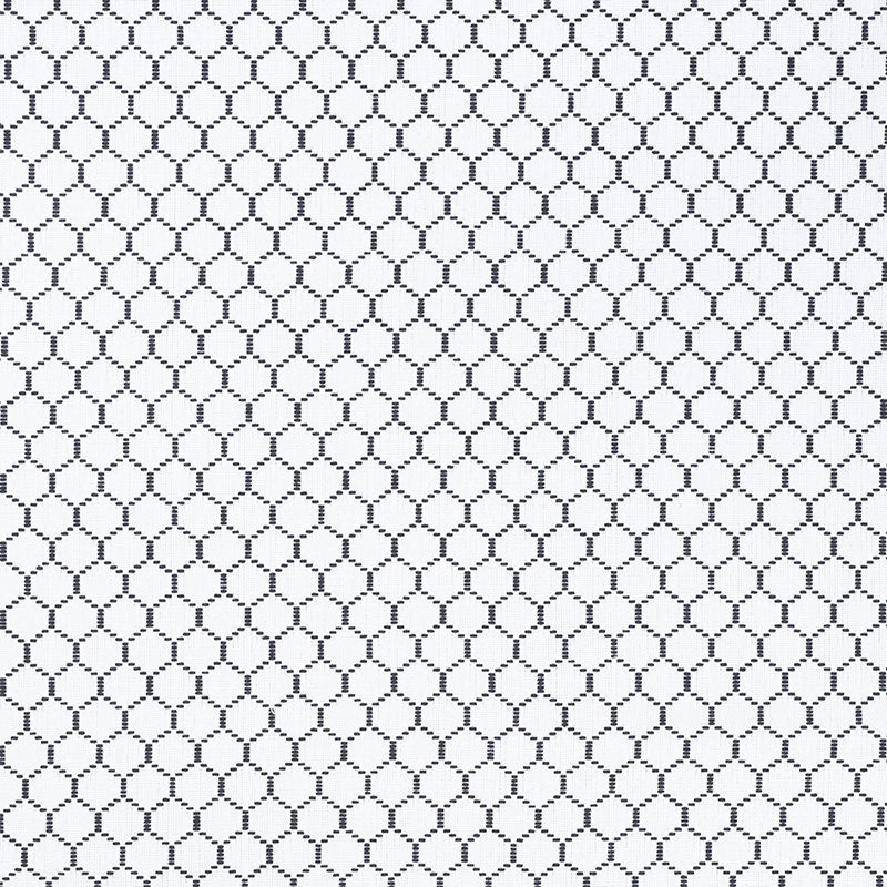 Schumacher Fishnet Spectator Fabric