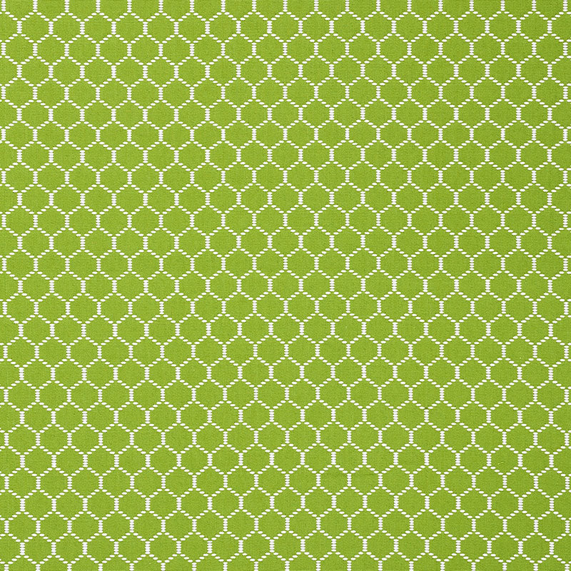 Schumacher Fishnet Leaf Fabric