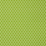 Schumacher Fishnet Leaf Fabric