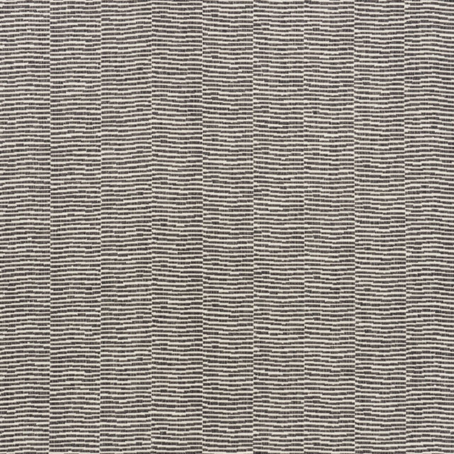 Schumacher Promenade Indoor/Outdoor Black Fabric - Eade's Wallpaper